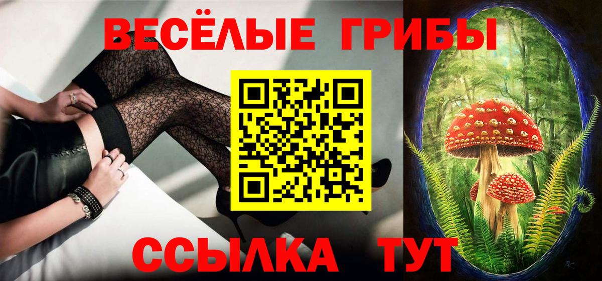 Каспийск  Галлюциногенные грибы Cubensis  Вход с VPN 